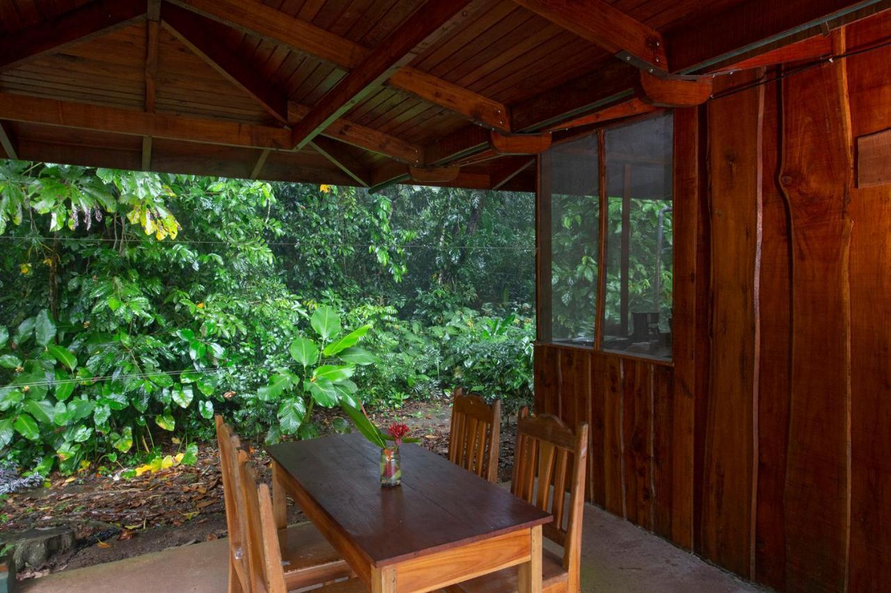 Suenos Tranquilo Bed and Breakfast Ballena Εξωτερικό φωτογραφία