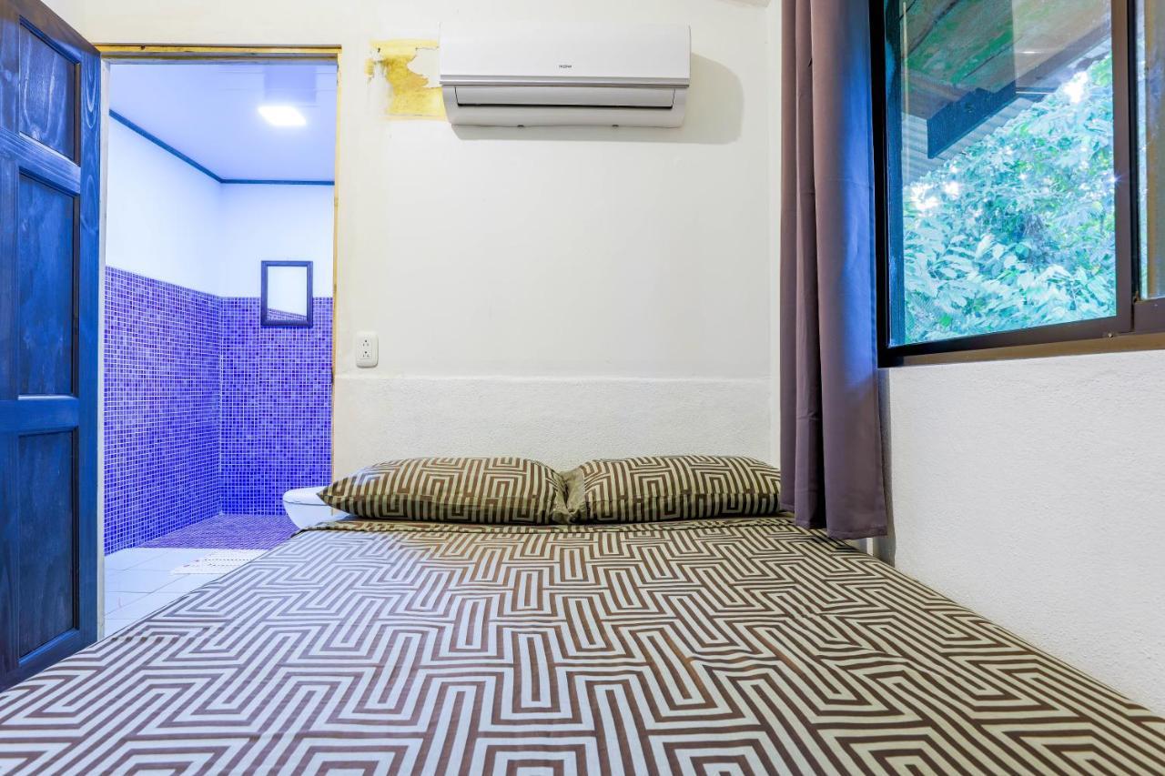 Suenos Tranquilo Bed and Breakfast Ballena Εξωτερικό φωτογραφία