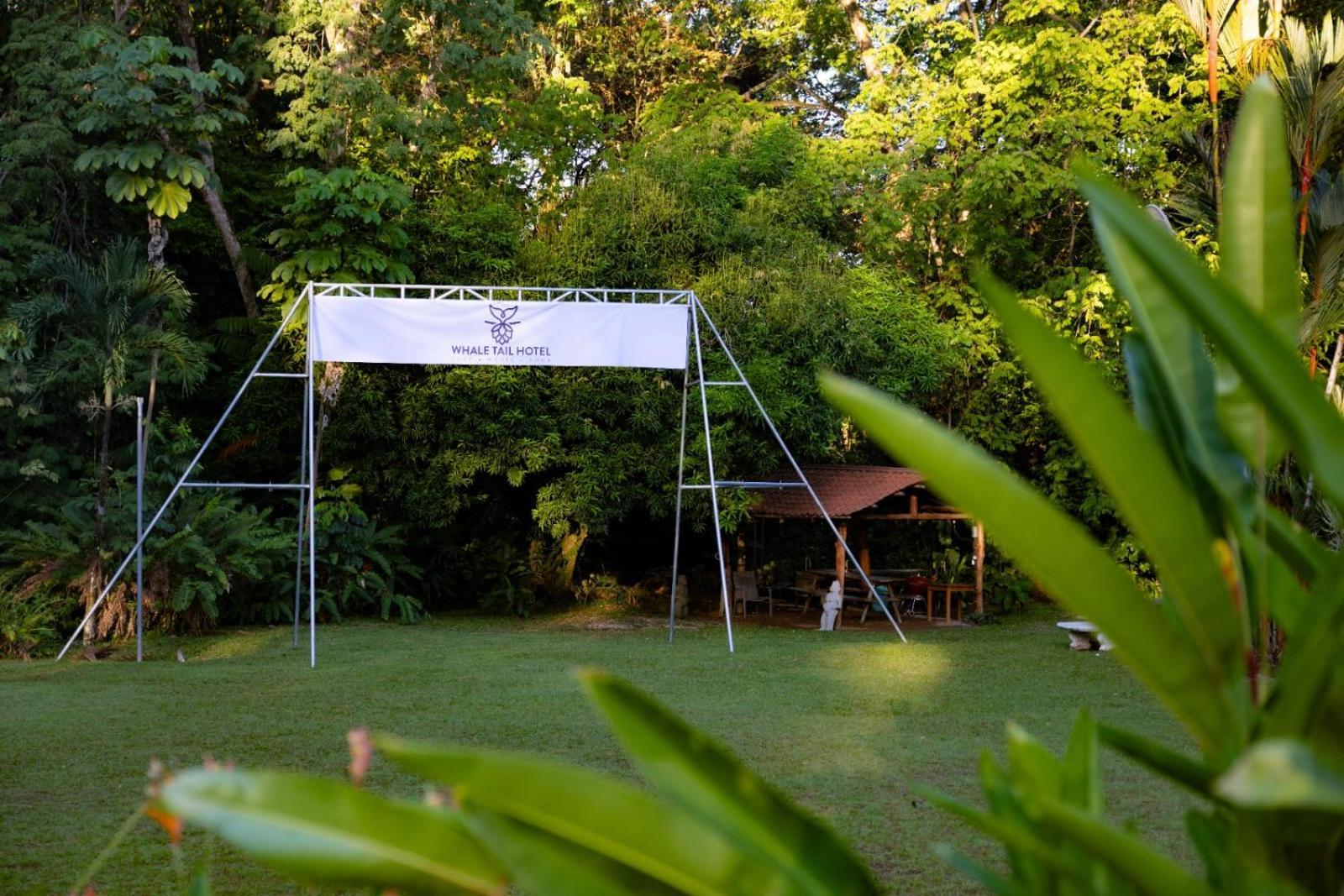 Suenos Tranquilo Bed and Breakfast Ballena Εξωτερικό φωτογραφία